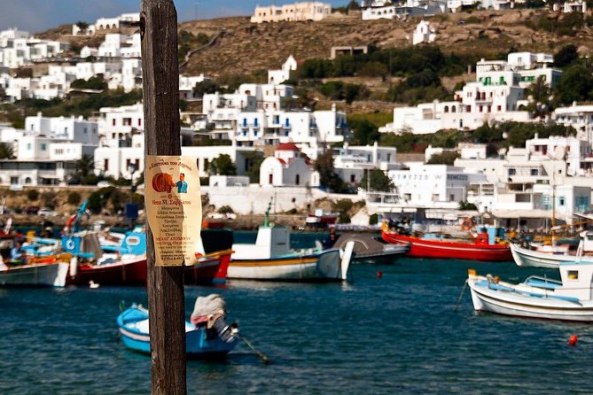 Private Tour of Little Venice, Kalafati Beach and Panagia Tourliani Monastery - Price and logistics: does $481 per person make sense?