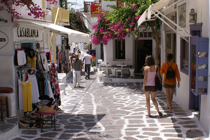 Shore Excursion Private - Price and Value: $494.50 Per Group (Up to 3)