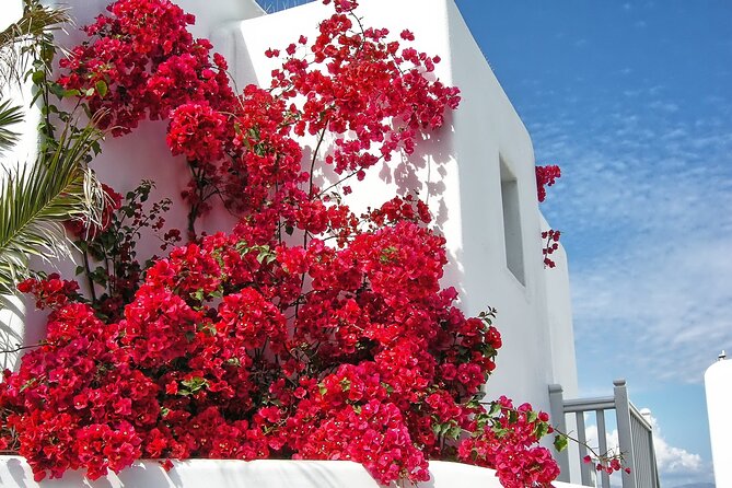 Sightseeing like a Mykonian(Small Group or Private) - Snacks, stories, and those small local touches