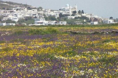 Tinos Island Tour from Mykonos - Getting To Tinos: Boat Tickets and a Guided Day Schedule