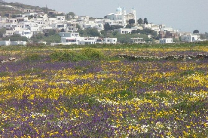 Tinos Island Tour from Mykonos - Getting To Tinos: Boat Tickets and a Guided Day Schedule