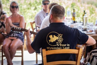 Tour and Wine Tasting in Mykonian Land - Two Hours Through Olive Groves and Vineyard Rows