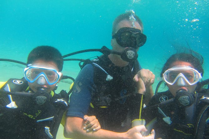 Try a DIVE, discover scuba diving in Mykonos - Depth Expectations at Lia Reef: Shallow on Purpose