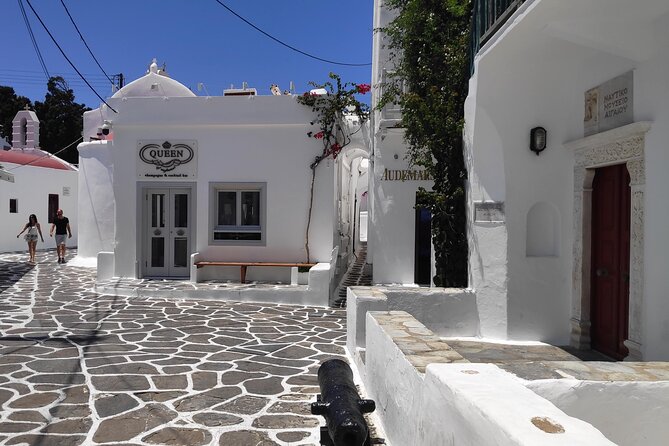 Walking Tour in Mykonos Town & Secluded Beach Picnic - The Beach Move: Private Transfer to a Secluded Picnic Spot