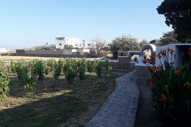 Wine Tasting Tour at a traditional farm in Mykonos - Midday vs Evening: Pick the Timing That Matches Your Day